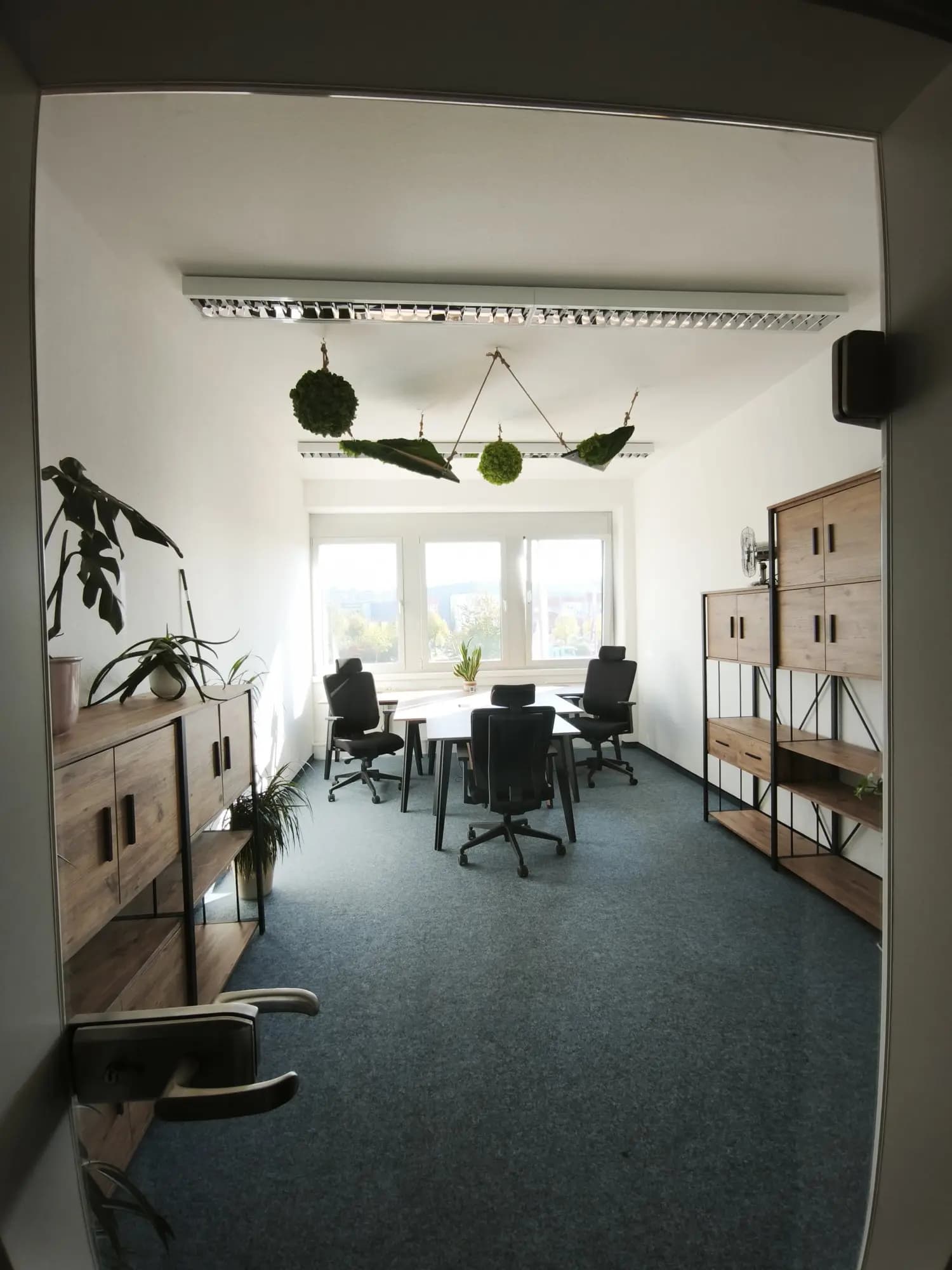 View through a glass door into an office with a desk, chairs, cabinets, and windows